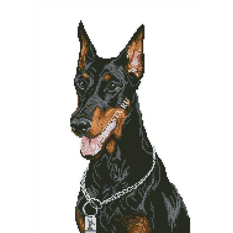 atw-doberman-datasheet atw-doberman-datasheet