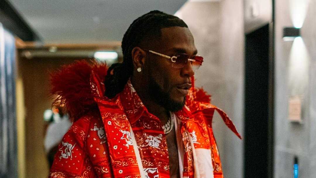 burna-boyz-datasheet