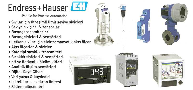 endress-hauser-fmx21-datasheet