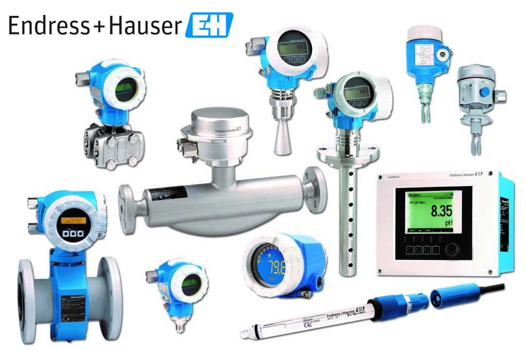 endress-hauser-fmx21-datasheet