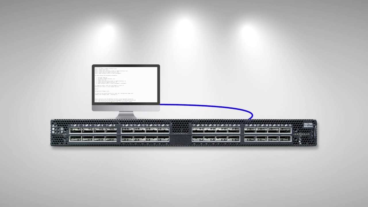 mellanox-2010-datasheet