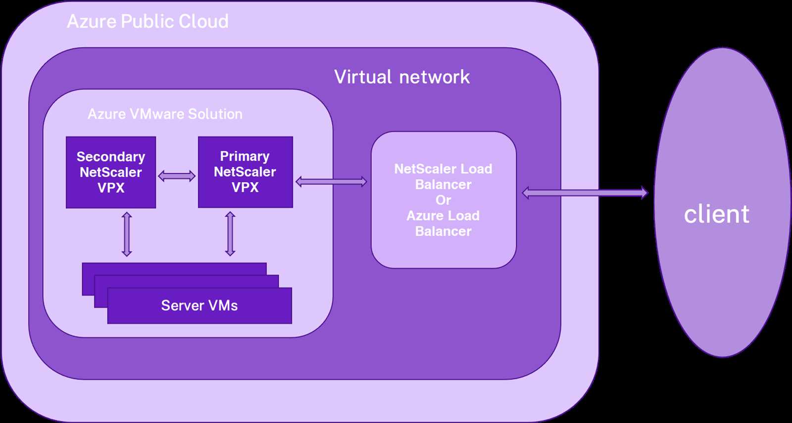 netscaler-5901-datasheet