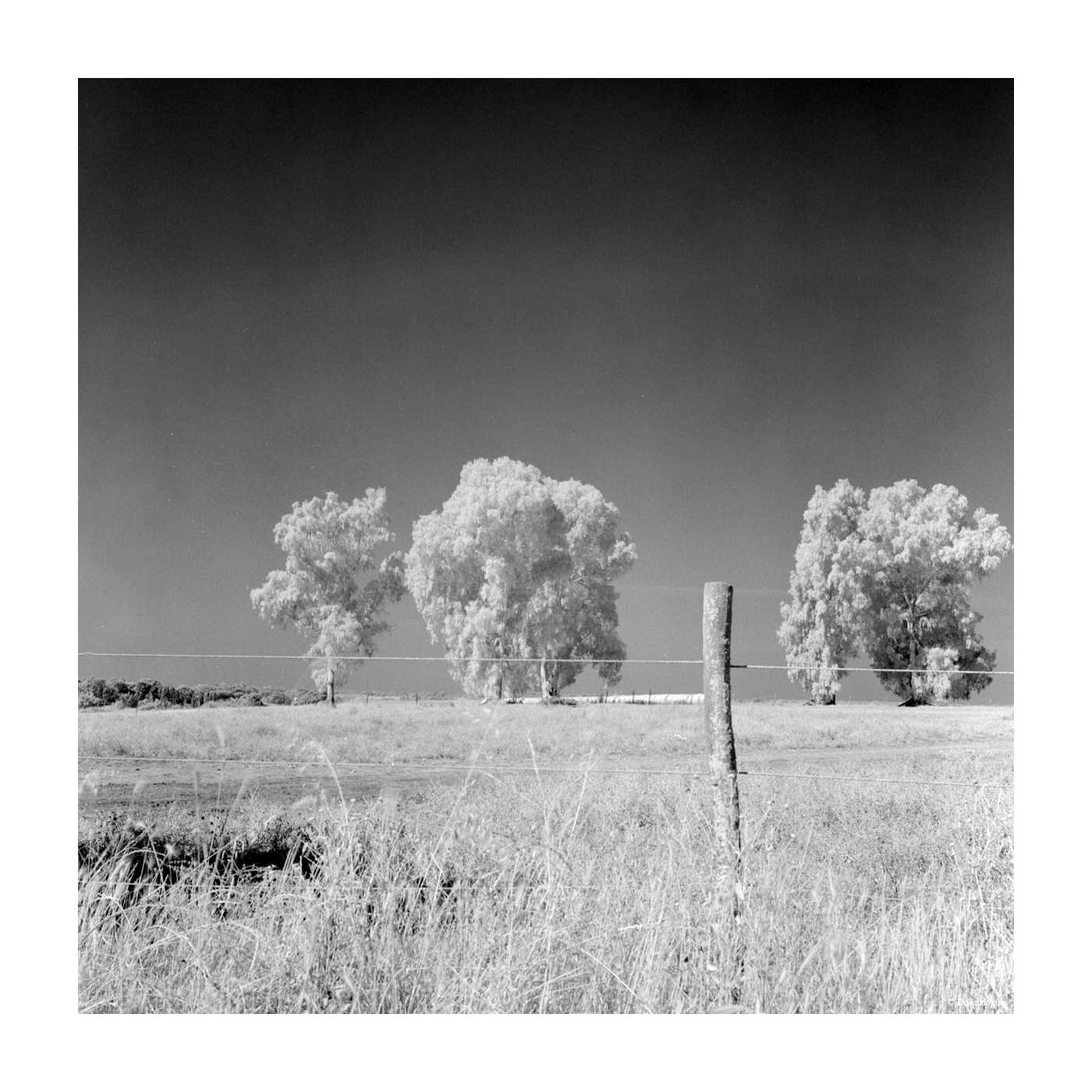 rollei-ir-400-datasheet