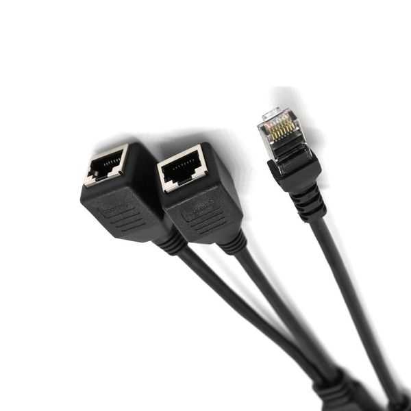 cab-c19-cbn-datasheet