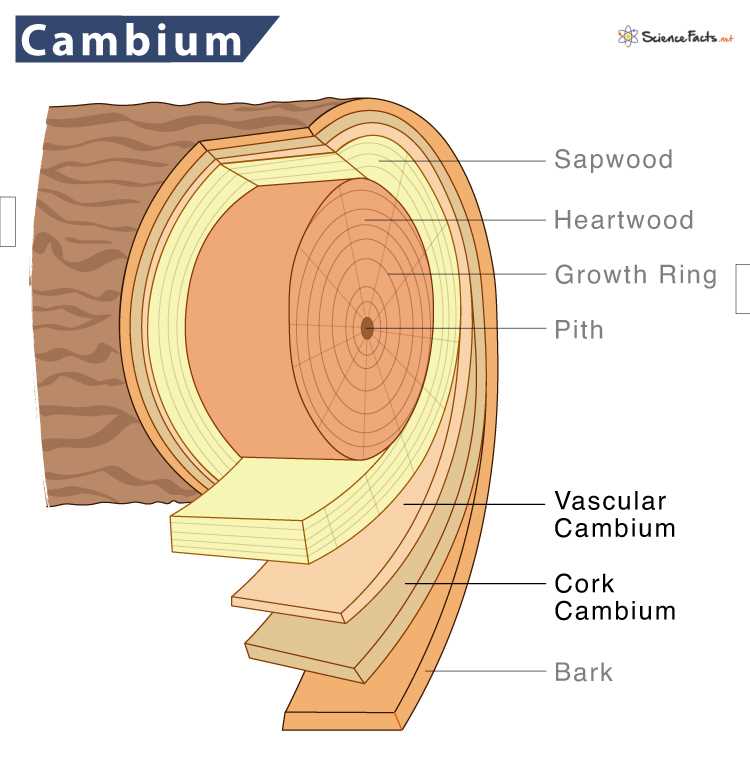 cambium-e400-datasheet