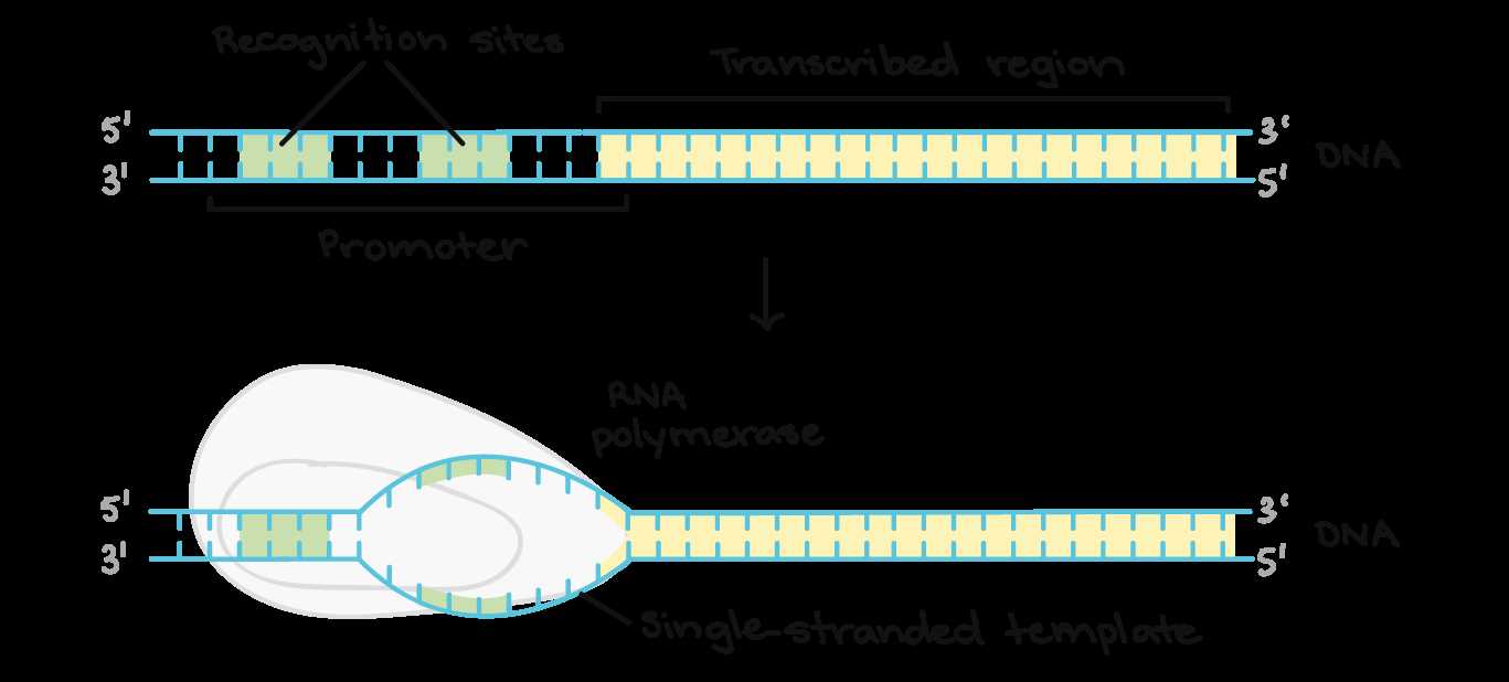 dna-spaces-datasheet