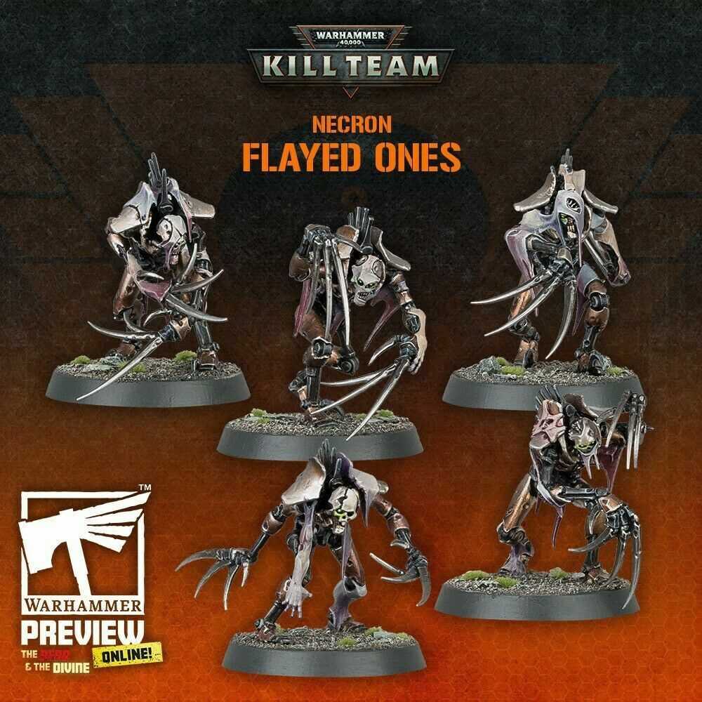 flayed-ones-datasheet flayed-ones-datasheet