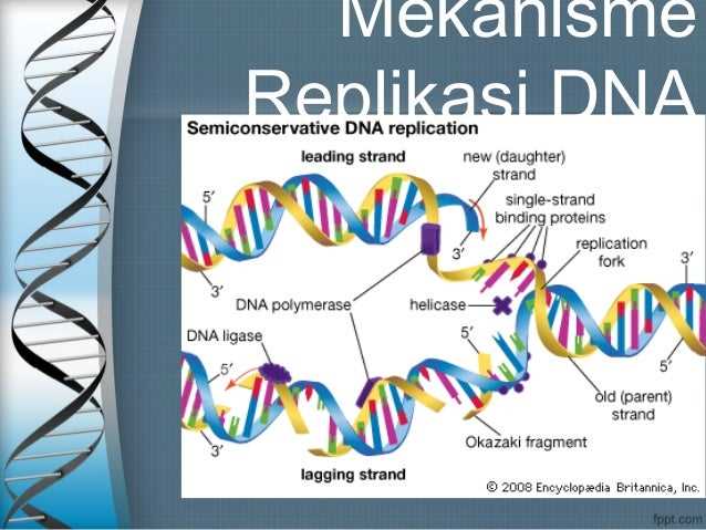 air-dna-datasheet air-dna-datasheet
