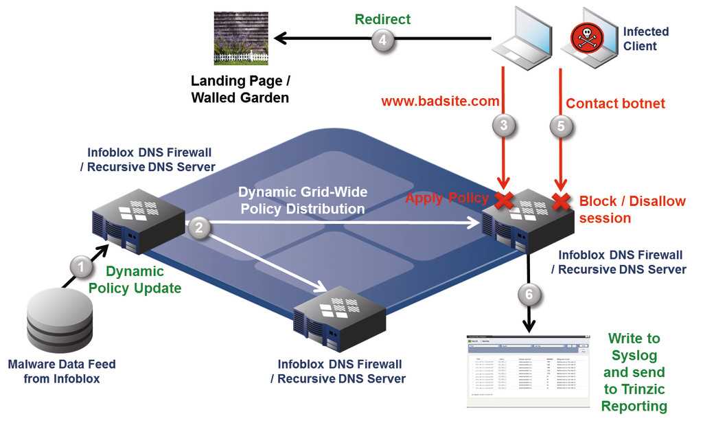 infoblox-datasheet