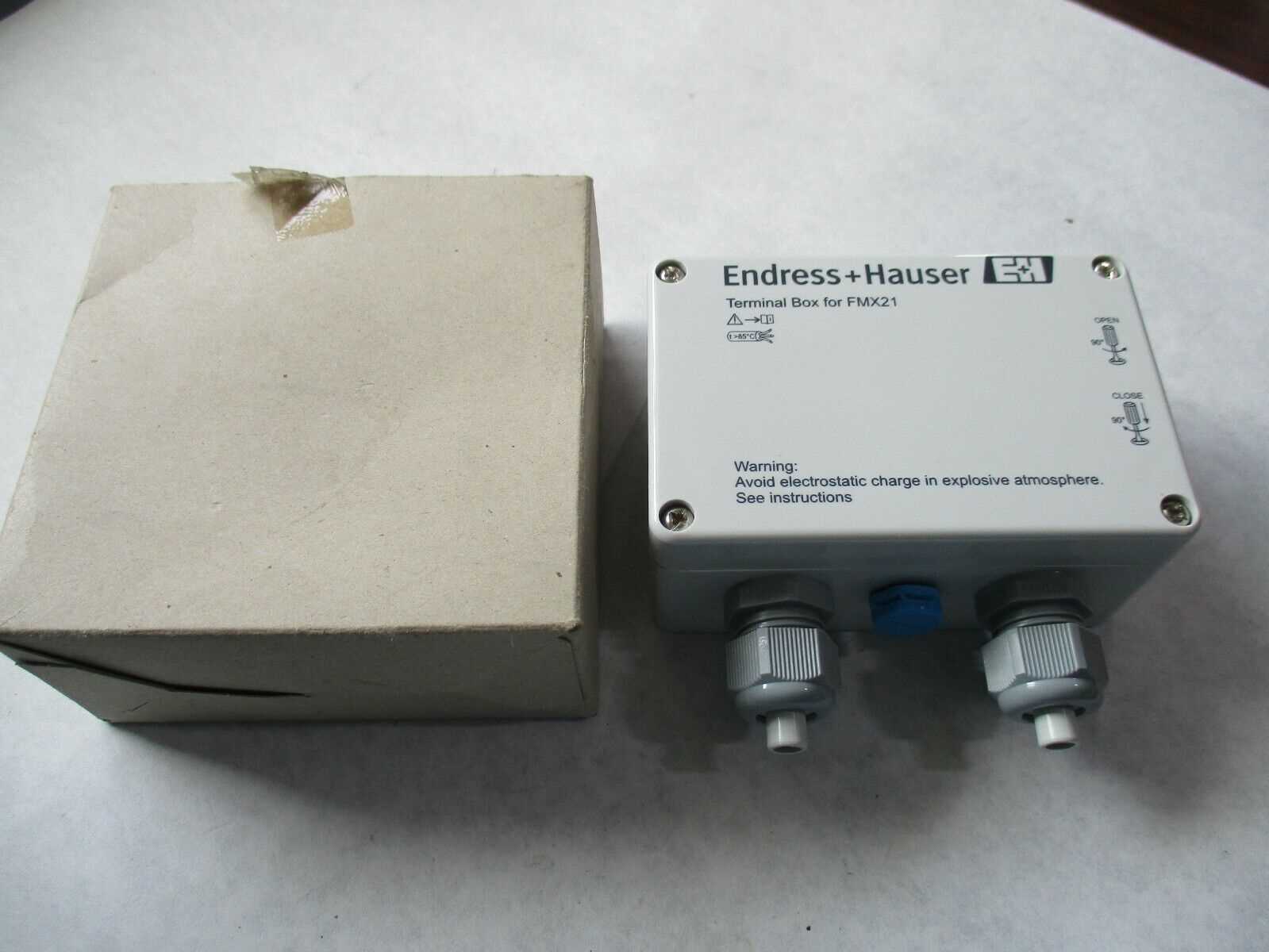 endress-hauser-fmx21-datasheet