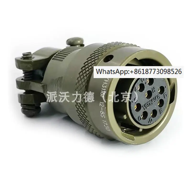 ms3116f10-6s-datasheet