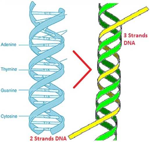 dna-spaces-datasheet
