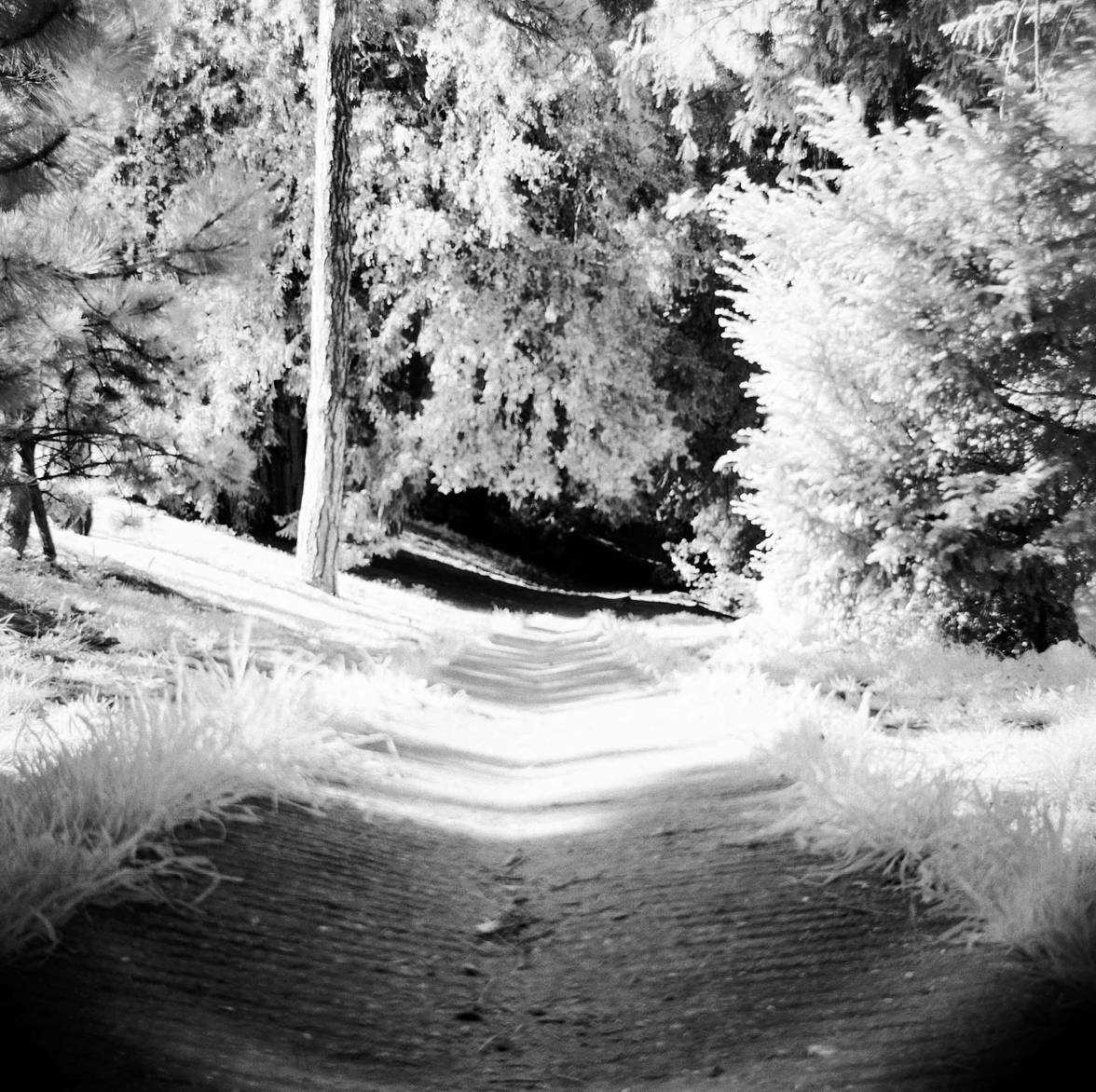 rollei-ir-400-datasheet