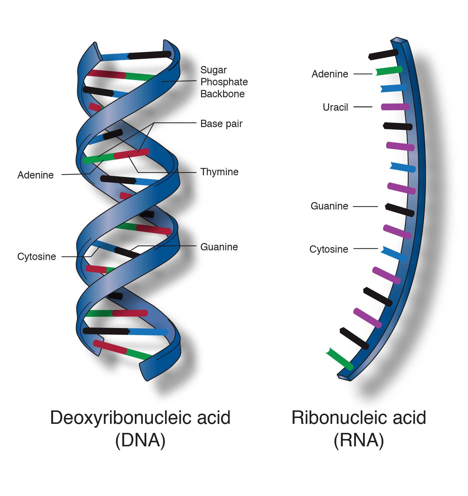 dna-spaces-datasheet
