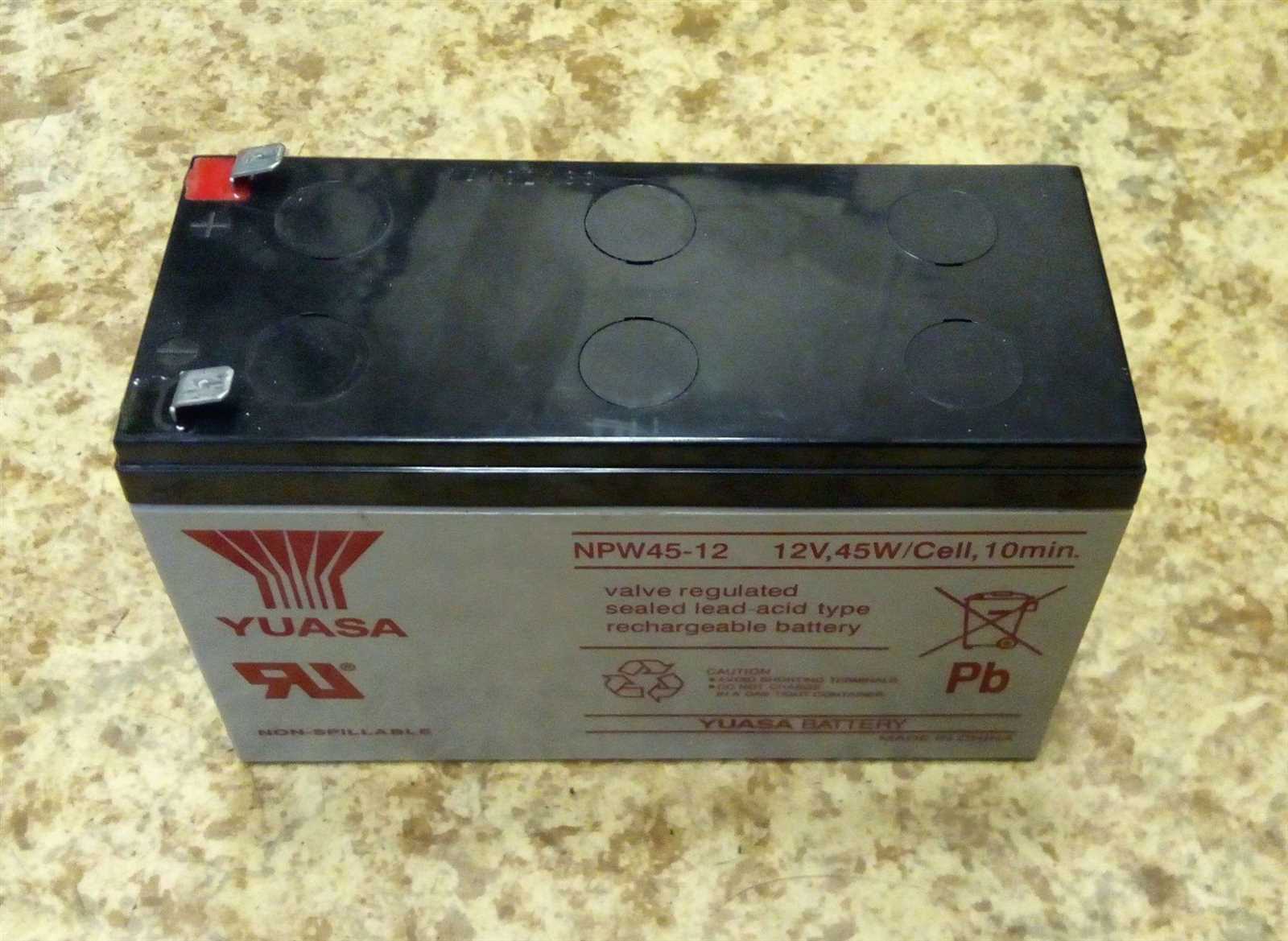 npw45-12-datasheet