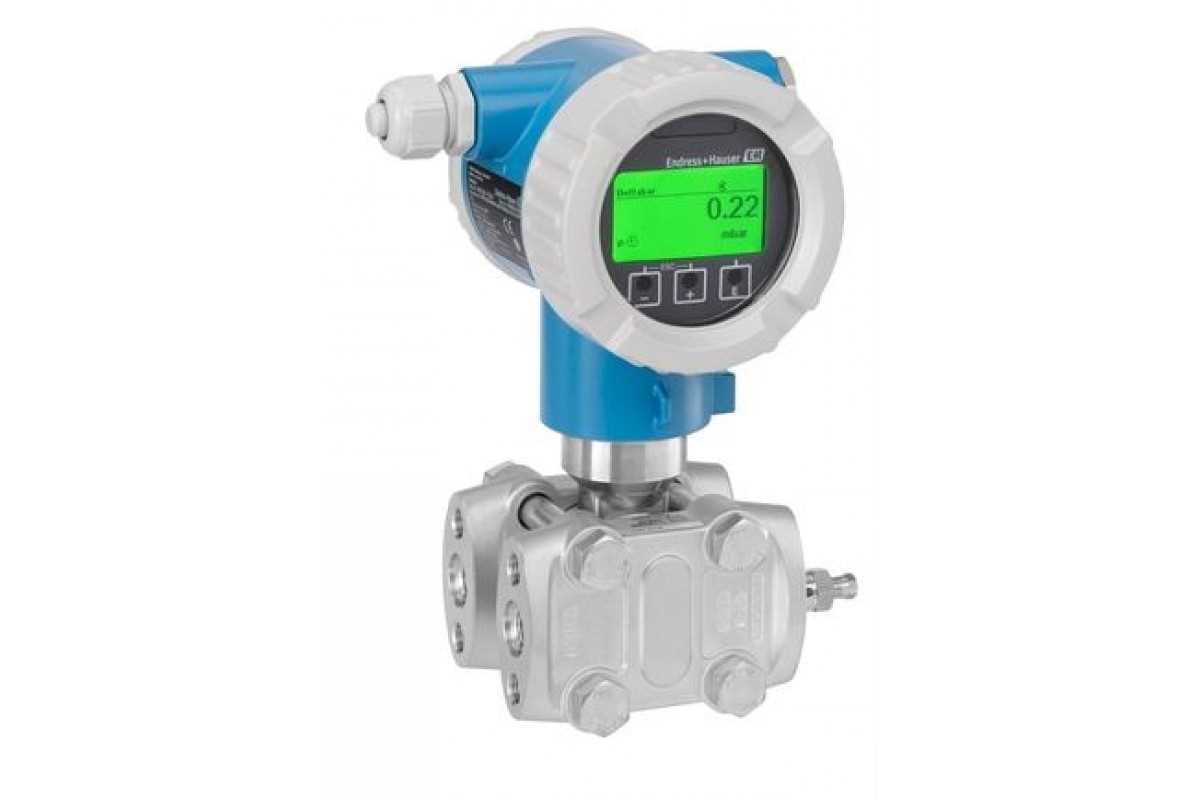 endress-hauser-fmx21-datasheet