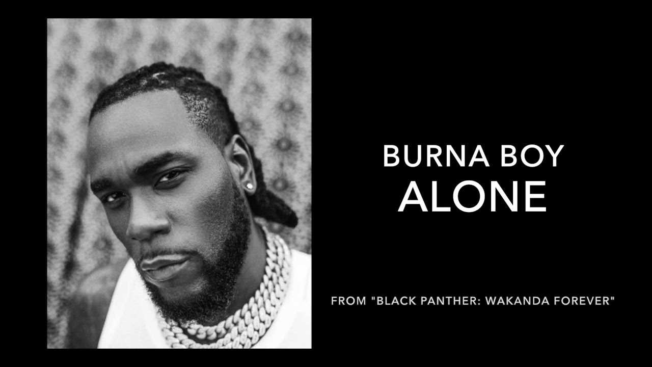 burna-boyz-datasheet