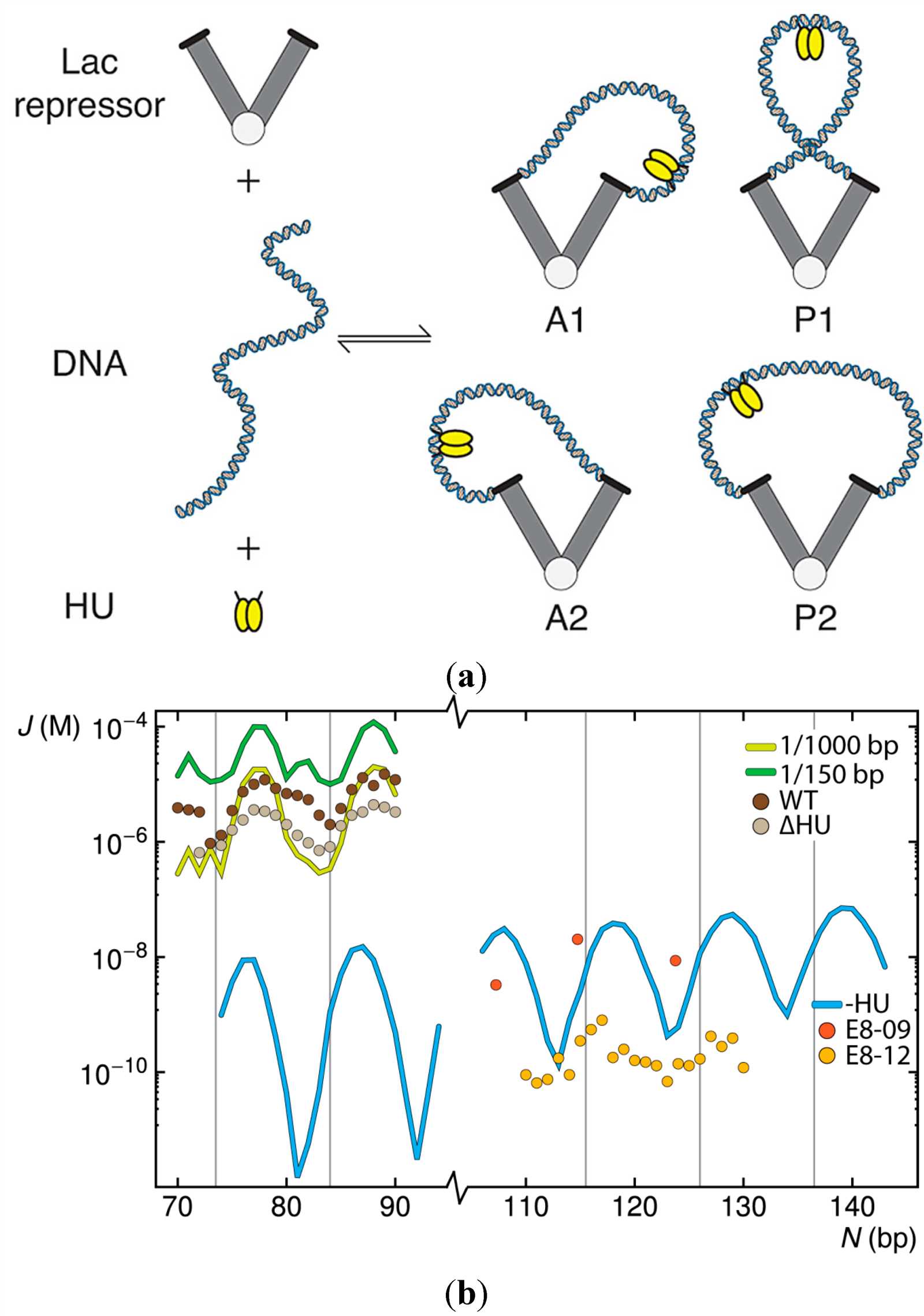 dna-spaces-datasheet